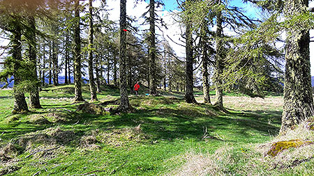 Disc Golf New Zealand